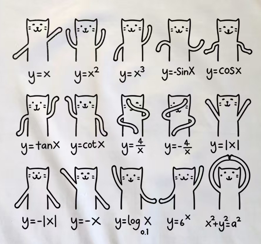 函数猫表情包